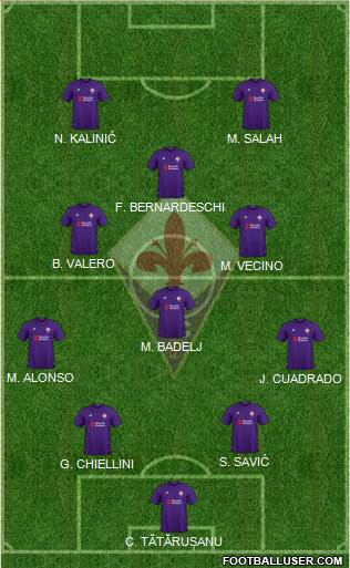 Fiorentina Formation 2019