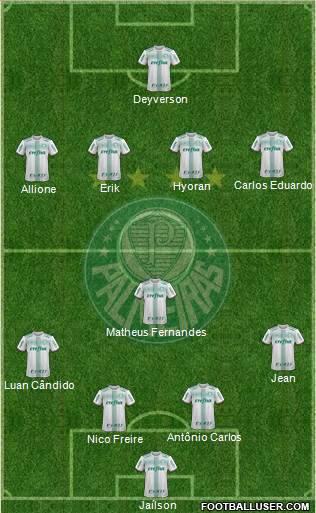 SE Palmeiras Formation 2019