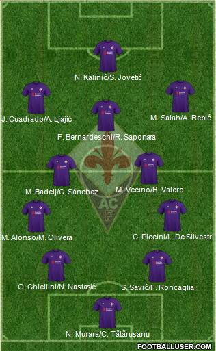 Fiorentina Formation 2019