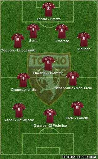 Torino Formation 2019