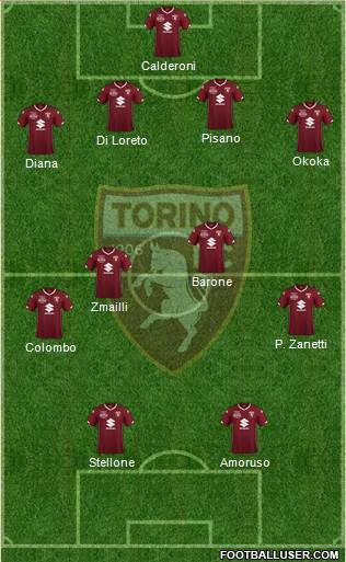 Torino Formation 2019