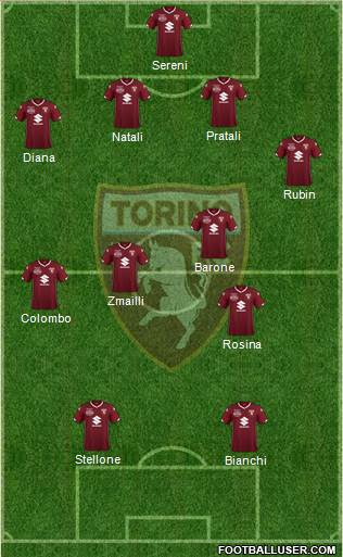 Torino Formation 2019