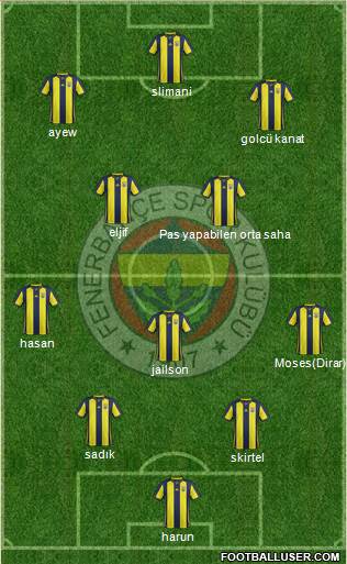 Fenerbahçe SK Formation 2019
