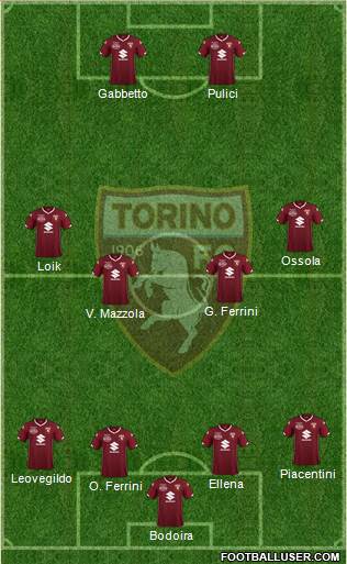 Torino Formation 2019