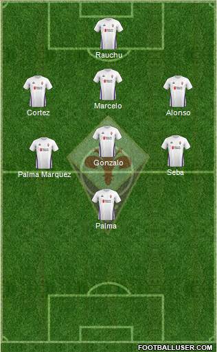Fiorentina Formation 2019