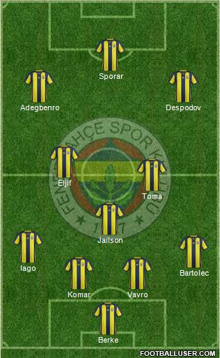 Fenerbahçe SK Formation 2019