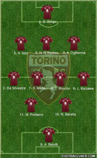 Torino Formation 2019