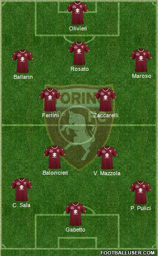 Torino Formation 2019