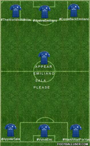 Cardiff City football formation