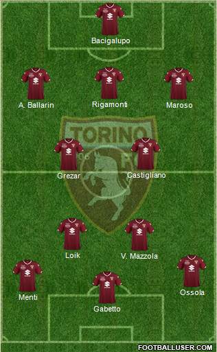 Torino Formation 2019