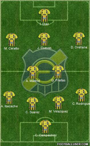 CD Everton de Viña del Mar S.A.D.P. Formation 2019