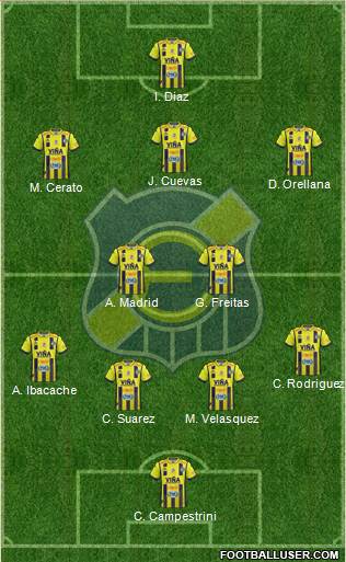 CD Everton de Viña del Mar S.A.D.P. Formation 2019