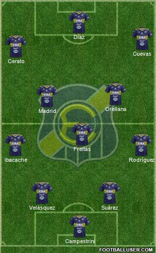 CD Everton de Viña del Mar S.A.D.P. Formation 2019