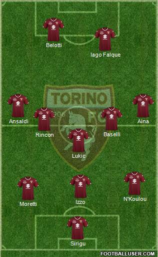 Torino Formation 2019