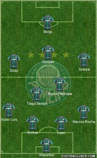 SE Palmeiras Formation 2019