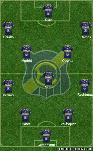 CD Everton de Viña del Mar S.A.D.P. Formation 2019