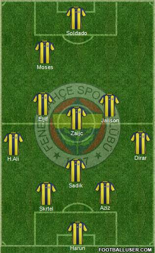 Fenerbahçe SK Formation 2019