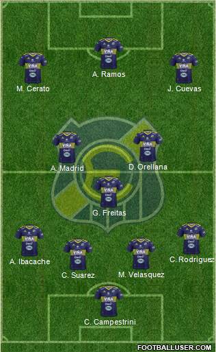 CD Everton de Viña del Mar S.A.D.P. Formation 2019