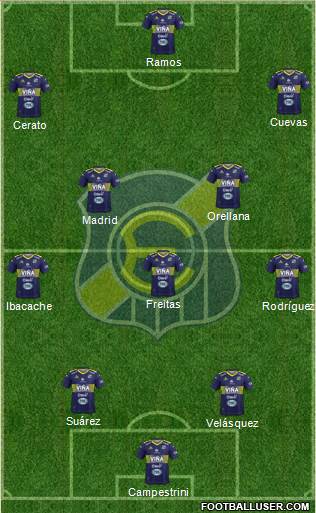 CD Everton de Viña del Mar S.A.D.P. Formation 2019