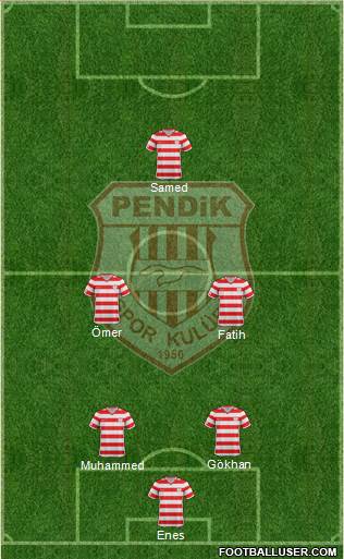 Pendikspor Formation 2019