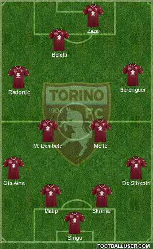 Torino Formation 2019