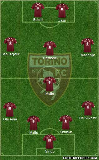 Torino Formation 2019