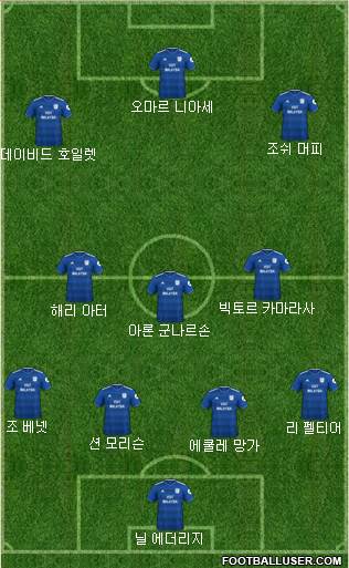 Cardiff City Formation 2019