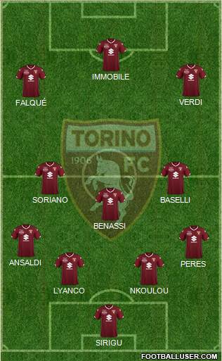 Torino Formation 2019