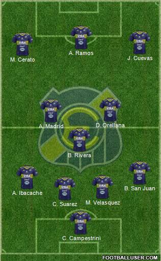 CD Everton de Viña del Mar S.A.D.P. Formation 2019