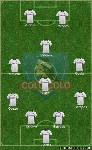 CSD Colo Colo Formation 2019