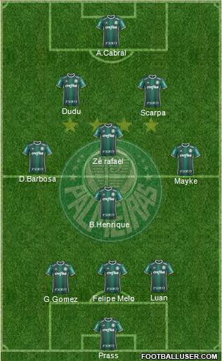 SE Palmeiras Formation 2019