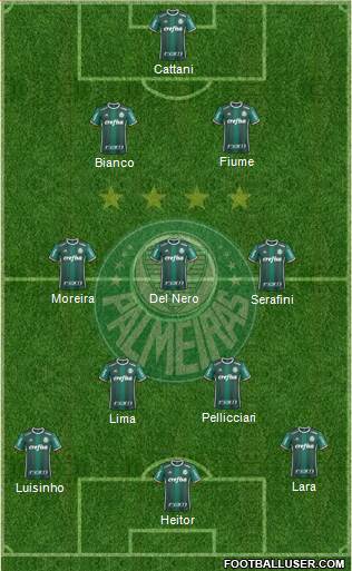 SE Palmeiras Formation 2019