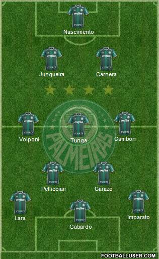 SE Palmeiras Formation 2019