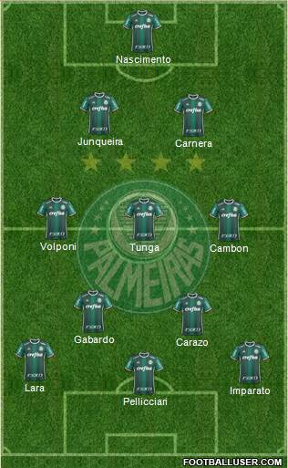SE Palmeiras Formation 2019