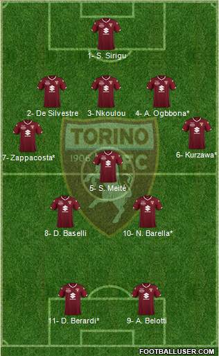 Torino Formation 2019