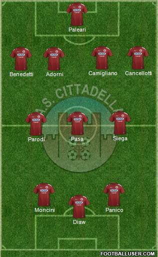Cittadella Formation 2019