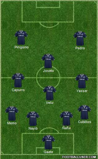 Millwall Formation 2019