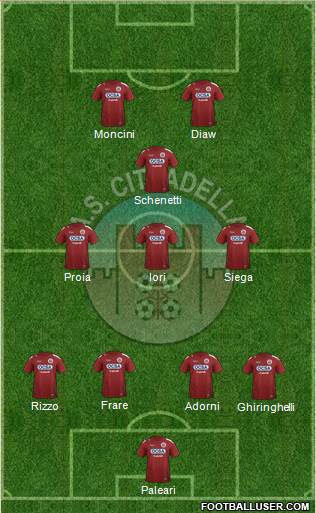 Cittadella Formation 2019