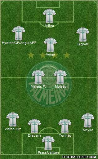 SE Palmeiras Formation 2019