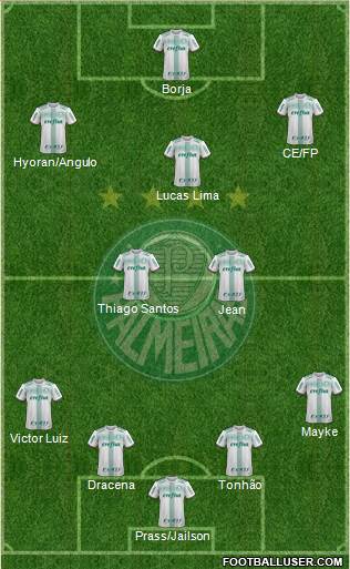 SE Palmeiras Formation 2019