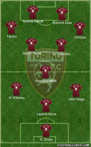 Torino Formation 2019