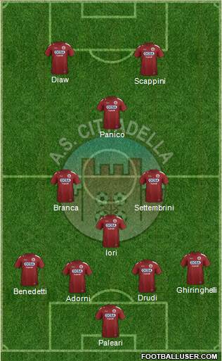 Cittadella Formation 2019