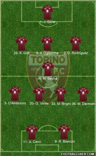 Torino Formation 2019