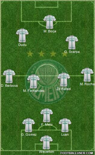 SE Palmeiras Formation 2019