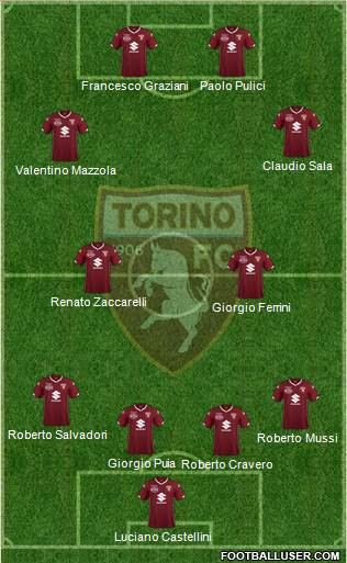 Torino Formation 2019