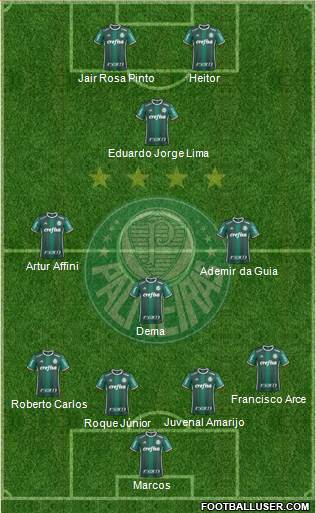 SE Palmeiras Formation 2019