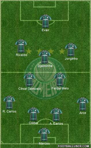 SE Palmeiras Formation 2019