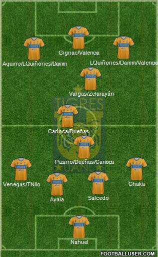 Club Universitario de Nuevo León Formation 2019