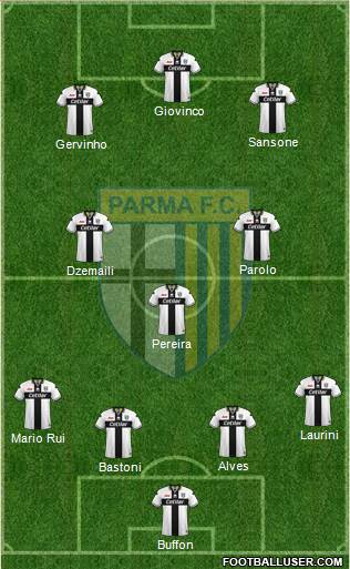 Parma Formation 2019