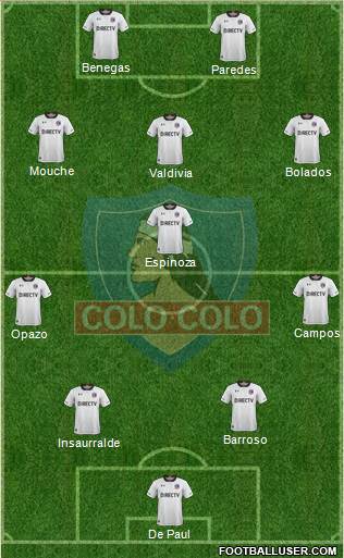 CSD Colo Colo Formation 2019